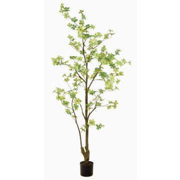Decorative tree Nasturtium SULLA, artificial stem, green, 6ft/185cm