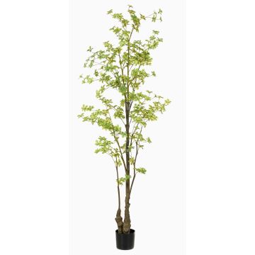 Decorative tree Nasturtium SULLA, artificial stem, green, 7ft/210cm