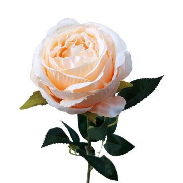 Artificial flower Rose CHERLEN, apricot, 24"/60cm, Ø4"/10cm