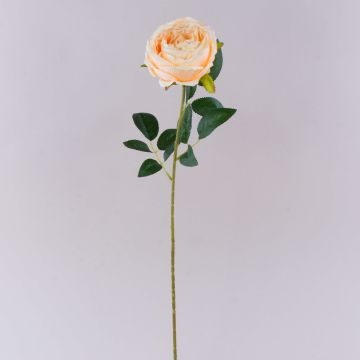 Artificial flower Rose CHERLEN, apricot, 24"/60cm, Ø4"/10cm
