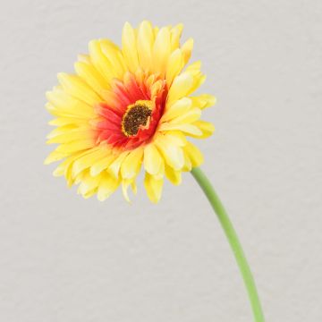 Artificial gerbera flower TEUDELINDE, yellow, 22"/55cm, Ø3.1"/8cm Artificial gerbera flower TEUDELINDE, yellow, 22"/55cm, Ø3.1"/8cm