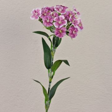 Fake flower Sweet William SUSILAWA, violet-white, 22"/55cm Fake flower Sweet William SUSILAWA, violet-white, 22"/55cm