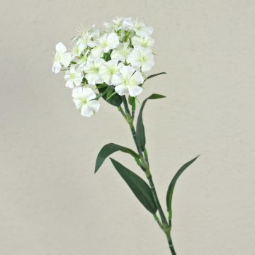 Fake flower Sweet William SUSILAWA, white-cream, 22"/55cm Fake flower Sweet William SUSILAWA, white-cream, 22"/55cm