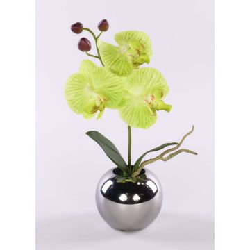 Artificial flower orchid Phalaenopsis NAPIRAI, planter, cream-green, 12"/30cm Artificial flower orchid Phalaenopsis NAPIRAI, planter, cream-green, 12"/30cm