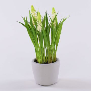 Artificial flower Grape hyacinth NARMADA in a cement pot, white, 8"/20cm Artificial flower Grape hyacinth NARMADA in a cement pot, white, 8"/20cm