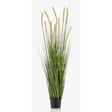 Artificial foxtail grass ANAELLA with panicles, green, 5ft/150cm