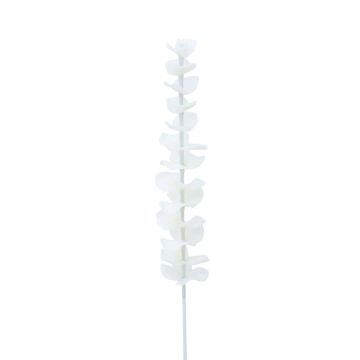Plastic eucalyptus branch GLAUCO in glass optic, 12 pieces, white, 80cm