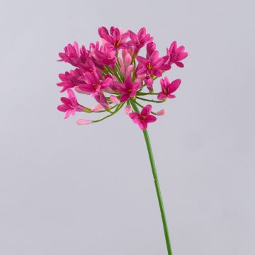 Plastic flower Agapanthus OMOLON, pink, 30"/75cm