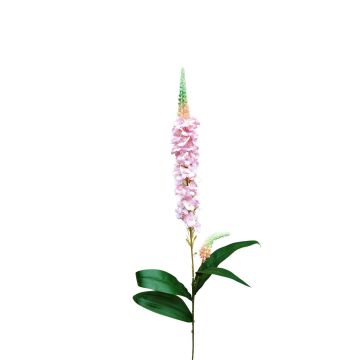 Decorative speedwell RUNHERDA, pink, 30"/75cm Decorative speedwell RUNHERDA, pink, 30"/75cm