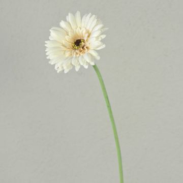Artificial gerbera flower TEUDELINDE, white-cream, 22"/55cm, Ø3.1"/8cm Artificial gerbera flower TEUDELINDE, white-cream, 22"/55cm, Ø3.1"/8cm