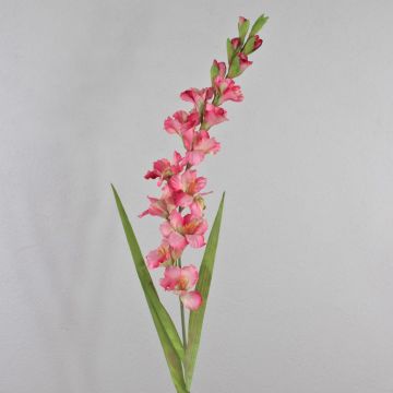 Plastic flower Gladiolus THEOPHORA, fuchsia-green, 4ft/110cm