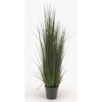 Silk reed grass SUSANNE, green-yellow-brown, 3ft/90cm