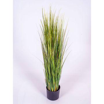 Silk reed grass SUSANNE, green-yellow-brown, 3ft/90cm
