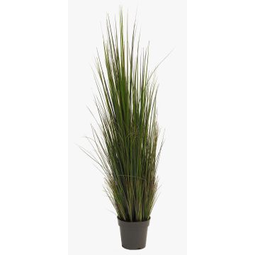 Silk reed grass SUSANNE, green-yellow-brown, 4ft/120cm