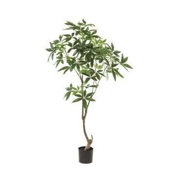 Artificial pachira tree CANTSA, artificial trunk, 5ft/150cm Artificial pachira tree CANTSA, artificial trunk, 5ft/150cm