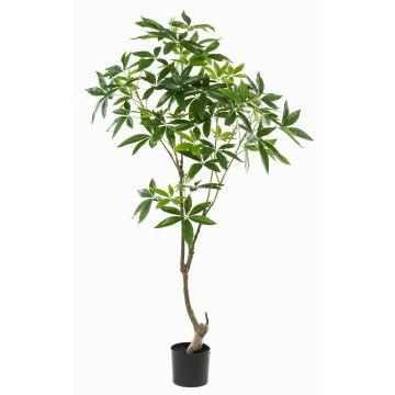 Artificial pachira tree CANTSA, artificial trunk, 5ft/150cm