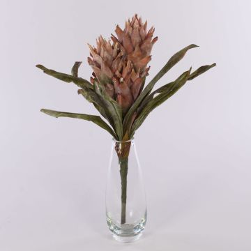 Velvet guzmania WALFRIEDE on spike, dusky pink, 20"/50cm