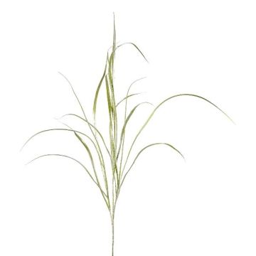 Decorative branch Reed grass TROVAL, green-silver, 3ft/105cm