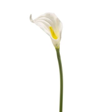 Artificial Calla lily TEMBANA, white, 65cm