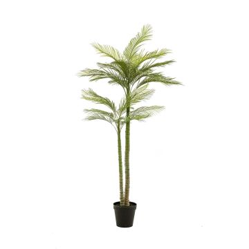 Artificial phoenix palm tree MIRCA, decorative pot, 7ft/225cm Artificial phoenix palm tree MIRCA, decorative pot, 7ft/225cm