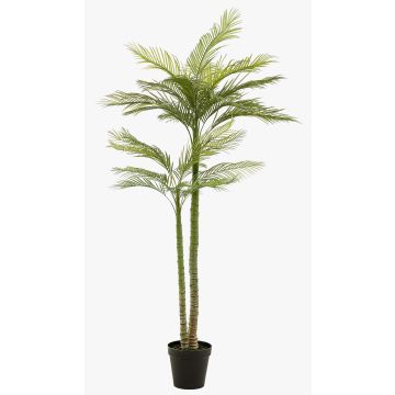 Artificial phoenix palm tree MIRCA, decorative pot, 7ft/225cm
