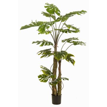 Artificial plant: Philodendron monstera deliciosa KORVEX, aerial roots, 6ft/180cm Artificial plant: Philodendron monstera deliciosa KORVEX, aerial roots, 6ft/180cm