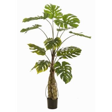Artificial plant: Philodendron monstera deliciosa KORVEX, aerial roots, 5ft/150cm Artificial plant: Philodendron monstera deliciosa KORVEX, aerial roots, 5ft/150cm