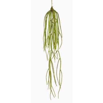 Artificial hanging plant Lycopodium TAMON, green, 3ft/90cm