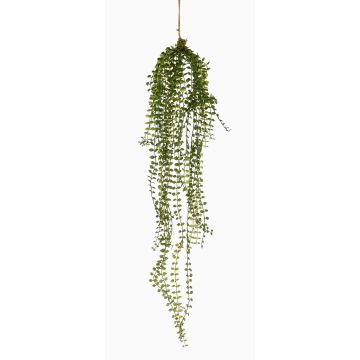 Artificial hanging plant Ficus pumila TAMON, green, 3ft/90cm
