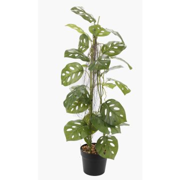 Artificial Philodendron monstera adansonii plant BRINOL, decorative pot, aerial roots, 31"/80cm