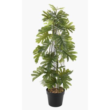 Artificial Philodendron selloum BRINOL, decorative pot, aerial roots, 31"/80cm
