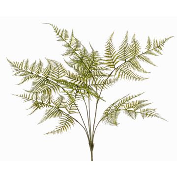 Artificial sword fern MELFIR, on a stem, crossdoor, green, 26"/65cm Artificial sword fern MELFIR, on a stem, crossdoor, green, 26"/65cm