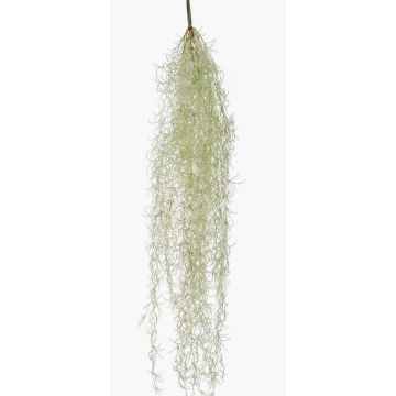 Artificial succulent Tillandsia usneoides BRAVIK, on a stake, flame-retardant, grey, 33"/85cm Artificial succulent Tillandsia usneoides BRAVIK, on a stake, flame-retardant, grey, 33"/85cm