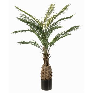 Artificial date palm ZOLTAR, crossdoor, 150cm