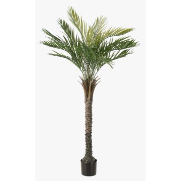 Artificial date palm ZOLTER, crossdoor, 150cm