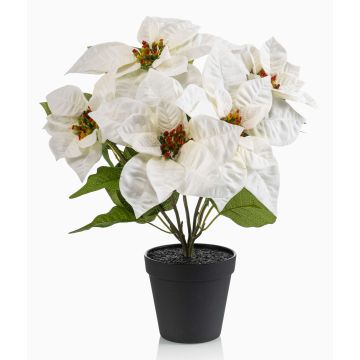 GRULEN artificial poinsettia in a decorative pot, cream, 40cm