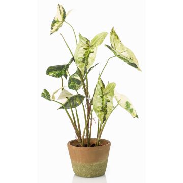 Syngonium YOMREL artificial plant in a terracotta pot, green-white, 24"/60cm
