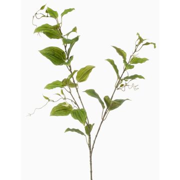 Decorative clematis branch VLORIX, green-cream, 3ft/105cm Decorative clematis branch VLORIX, green-cream, 3ft/105cm