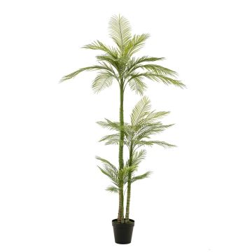 Artificial phoenix palm tree MIRCA, decorative pot, 8ft/245cm Artificial phoenix palm tree MIRCA, decorative pot, 8ft/245cm