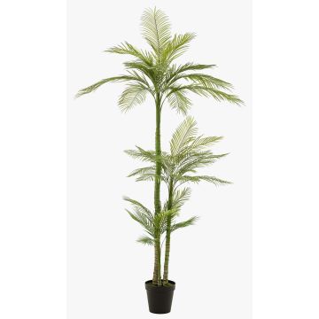 Artificial phoenix palm tree MIRCA, decorative pot, 8ft/245cm