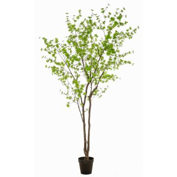 Nasturtium artificial tree NEVKAR in decorative pot, artificial trunks, green, 10ft/300cm
