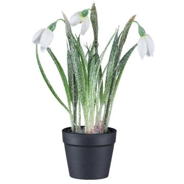 Decorative flower Snowdrop WASFA in decorative pot, snow-covered, white, 8"/20cm