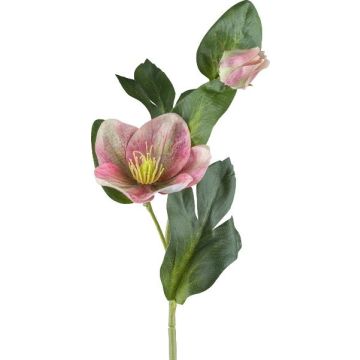 Artificial flower Christmas rose DENDY, pink-green, 14"/35cm
