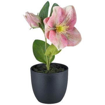 Artificial flower Christmas rose DENDY, decorative pot, pink, 7"/19cm