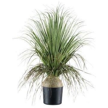 Decorative palm grass tree COOSA, 70cm