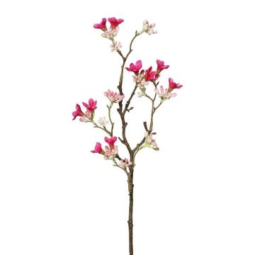 Decorative branch Seven Son flower of Zhejiang GRIMKO, fuchsia-rose, 20"/50cm Decorative branch Seven Son flower of Zhejiang GRIMKO, fuchsia-rose, 20"/50cm