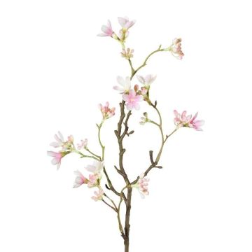 Decorative branch Seven Son flower of Zhejiang GRIMKO, pink-cream, 20"/50cm Decorative branch Seven Son flower of Zhejiang GRIMKO, pink-cream, 20"/50cm