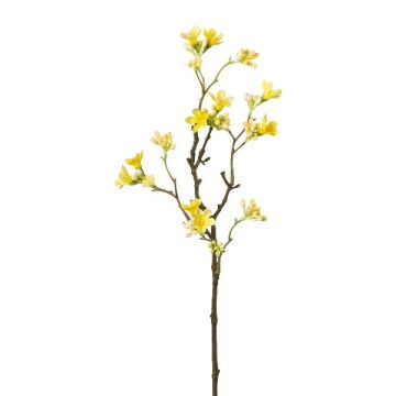 Decorative branch Seven Son flower of Zhejiang GRIMKO, yellow, 20"/50cm Decorative branch Seven Son flower of Zhejiang GRIMKO, yellow, 20"/50cm