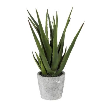 Decorative succulent Aloe Vera BRIZE in cement pot, green, 16"/40cm Decorative succulent Aloe Vera BRIZE in cement pot, green, 16"/40cm