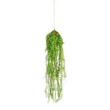 Artificial hanging plant: Mühlenbeckia STRULH, root ball, roots, green, 70cm